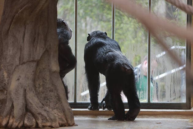 30 03 2020 Halle Saale CORONA Pandemic covid19 covid 19 Corona Virus Coronavirus photo mountain zoo many zoo an
