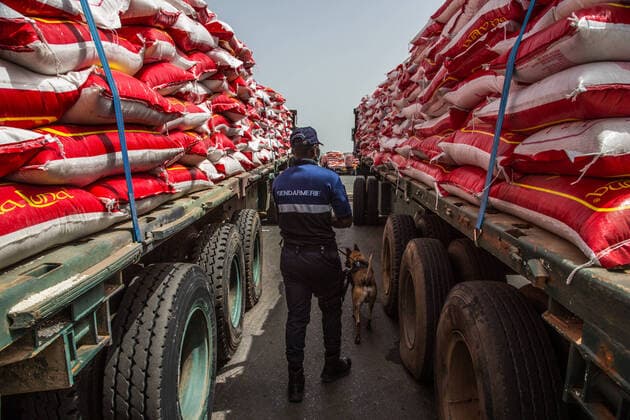 Coronavirus in Senegal, Präsident Macky Sall startet Hilfslieferungen (200412) -- DAKAR, April 12, 2020 (Xinhua) -- A gendarme and his search dog check the vehicles carrying food for families affected by COVID-19 at the Dakar Autonomous Port in Dakar, Senegal, April 11, 2020. Senegalese President Macky Sall launched Saturday a food delivery operation in the regions at the Dakar Autonomous Port as part of assistance to households affected by COVID-19. Sall initiated the emergency food aid program with a budget of 69 billion Francs CFA (about 114 million U.S. dollars), which is drawn from the response and solidarity fund against the effects of COVID-19 for the purchase of 146,000 tonnes of food to distribute to targeted households across the country. (Photo by Eddy Peters Xinhua) SENEGAL-DAKAR-COVID-19-FOOD AID 