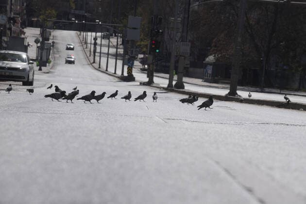 Pigeons on the deserted round around Kurtulus Park in Ankara, on April 12, 2020, during the 48-hour curfew imposed by the government to stem the spread of the novel coronavirus (COVID-19). Turkey has confirmed 1,198 deaths and 56,956 positive cases of the coronavirus infection in the country. ( Copyright: AbdurrahmanxAntakyalix-xDepoxPho 16718770