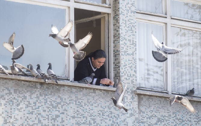 A man feeds pigeons in Ankara, on April 12, 2020, during the 48-hour curfew imposed by the government to stem the spread of the novel coronavirus (COVID-19). Turkey has confirmed 1,198 deaths and 56,956 positive cases of the coronavirus infection in the country. ( Copyright: AbdurrahmanxAntakyalix-xDepoxPho 16718772