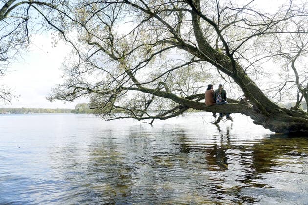 13 04 2020, Berlin Germany Two friends are sitting on a branch of a tree jutting into the water and enjoy the great weather.
