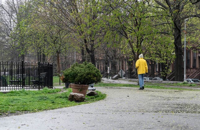 Live in NYC amid COVID-19 pandemic Lonely man strolls in the Fort Greene Park under the rain amid COVID-19 pandemic New York New York United States Copyright: LevxRadin