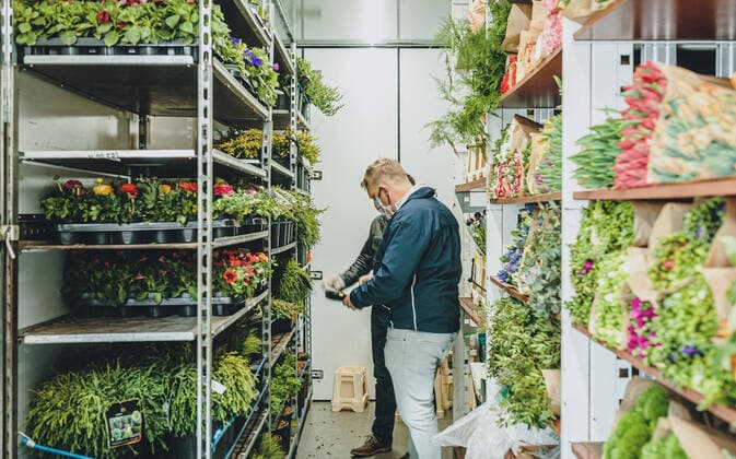Kaprun THEME IMAGE a florist selects fresh flowers from Holland in a truck in Kaprun, Austria on Tuesday 14 April 2020 a florist selects fresh flowers from Holland in a truck in Kaprun, Austria on 2020 04 14  EP_obh