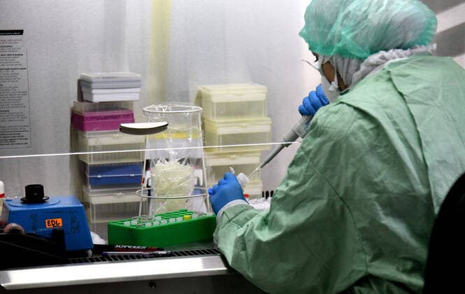 (200414) -- DAMASCUS, April 14, 2020 -- A laboratorian works on a test for COVID-19 virus at a laboratory in Damascus, capital of Syria, on April 14, 2020. Four new COVID-19 cases were reported in Syria on Tuesday, bringing the overall number of registered cases to 29, the health ministry said in a statement. (Photo by Xinhua) SYRIA-DAMASCUS-COVID19-TEST AmmarxSafarjalani 
