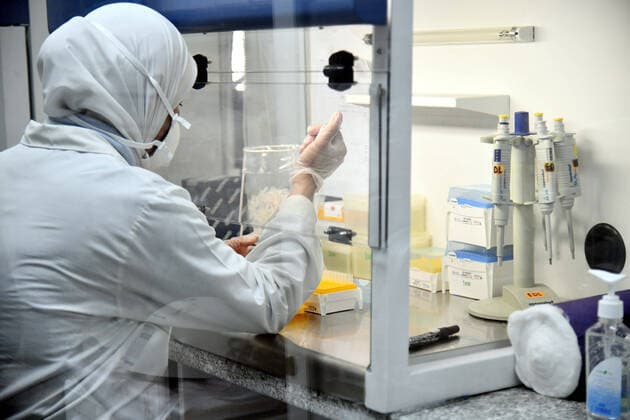 (200414) -- DAMASCUS, April 14, 2020 -- A laboratorian works on a test for COVID-19 virus at a laboratory in Damascus, capital of Syria, on April 14, 2020. Four new COVID-19 cases were reported in Syria on Tuesday, bringing the overall number of registered cases to 29, the health ministry said in a statement. (Photo by Xinhua) SYRIA-DAMASCUS-COVID19-TEST AmmarxSafarjalani 