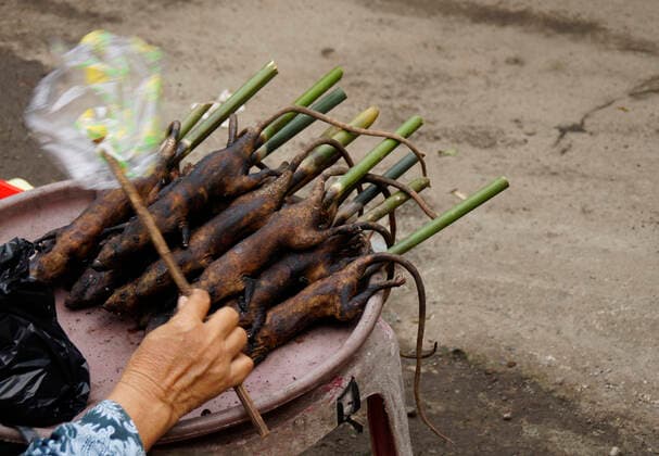 Rats on skewers slaughtered and roasted on a street Market in Wuhan COVID 19 Virus Coronavirus Animal market in Asia Wuhan Virus pandemic Epedemic animal blood