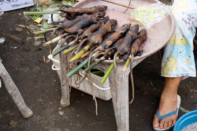 Rats slaughtered and roasted on the street in Tomohon Market in Wuhan COVID 19 virus coronavirus from the bat to humans Animal market in Asia Tomohon extreme Market Wuhan virus pandemic epedemic animal blood