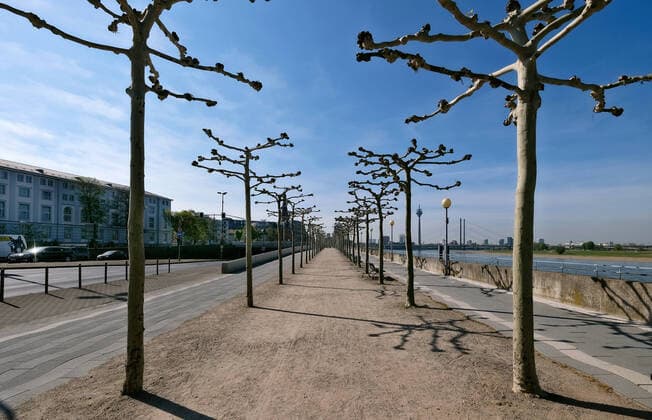 Empty streets in Düsseldorf during the Corona crisis, Rhine promenade