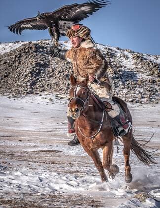 IMAGO Nature: Unsere Erde, Naturschutz, Indigene Völker Mongolischer Adlerjäger, Kasachisch reitet Pferd mit dressiertem Adler im Winter, Provinz Bajan-Olgii, Mongolei, Asien *** Mongolian eagle hunter, Kazakh rides horse with trained eagle in winter, Bayan Olgii Province, Mongolia, Asia Copyright: imageBROKER/BayarxBalgantseren iblbay05115707.jpg