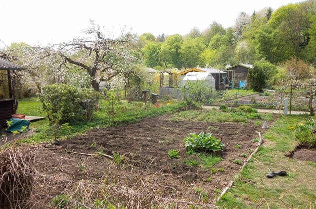Schrebergarten im Fruehling in Muenchen, Bayern, Deutschand *** Allotment garden in spring in Munich, Bavaria, Germany Juergen Hasenkopf