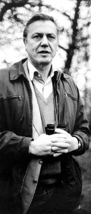 IMAGO ICONS: Sir David Attenborough LIFE ON EARTH, narrator David Attenborough, 1979, BBC Courtesy: Everett Collection BBC Courtesy Everett Collection !ACHTUNG AUFNAHMEDATUM GESCHÃ„TZT! PUBLICATIONXNOTxINxCANxCHNxFRAxITAxJPNxNORxPOLxRUSxESPxUKxUSA Copyright: xBBC CourtesyxEverettxCollectionx TBDLION EC001