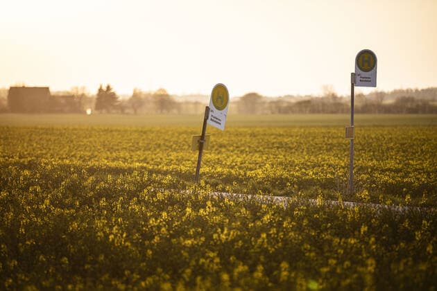 IMAGO Creative: Gesellschaft, Mobilität auf dem Land Eine Bushaltestelle zeichnet sich auf einer Strasse zwischen zwei Rapsfeldern ab, aufgenommen in Vierkirchen, 21.04.2020. Vierkirchen Deutschland *** A bus stop stands out on a road between two rape fields, taken in Vierkirchen, 21 04 2020 Vierkirchen Germany Copyright: xFlorianxGaertner photothek.netx
