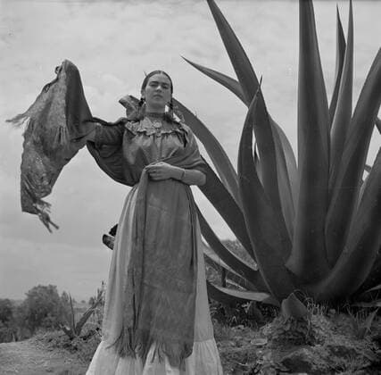 Mexiko MEXICO -- 1937 -- Portrait of the Mexican artist Frida Kahlo (also known as Magdalena Carmen Frida Kahlo y CalderÃ›n and Senora Diego Rivera) standing next to an agave plant during a photo shoot for Vogue magazine somewhere in Mexico, Mexico on. *** Mexico MEXICO 1937 Portrait of the Mexican artist Frida Kahlo also known as Magdalena Carmen Frida Kahlo y CalderÃn and Senora Diego Rivera standing next to an agave plant during a photo shoot for Vogue magazine somewhere in Mexico, Mexico on  EP_ATL 