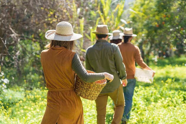 Rear view of group of friends walking with basket in the countryside model released Symbolfoto VSMF00117