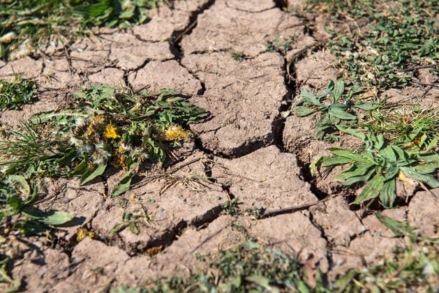 Dry soil in spring in Hesse Photo of 26 04 2020 No rain, the probability of drought is increasing The current situation reminds meteorologists of summer 2018 According to the German Weather Service, a little rain is in sight this week The amounts will probably not be enough to compensate for the past weeks On April 29, the German Weather Servic Copyright: epd-bild HeikexLyding EDITORIAL USE ONLY