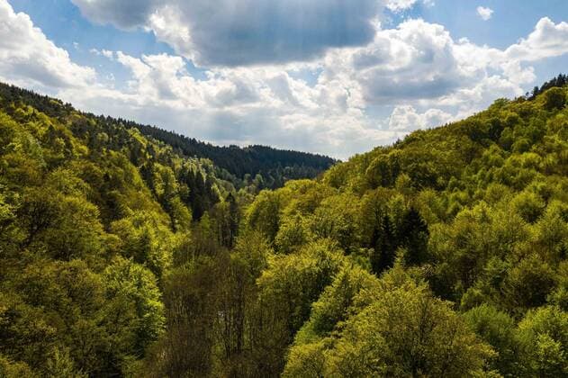 UAV images of the Eifel National Park, 27 04 2020 Sun over a mixed forest in the Eifel National Park near the Kalltalsperre in North Rhine-Westphalia on 27 04 2020 in Düsseldorf, , Simmerath NRW Germany