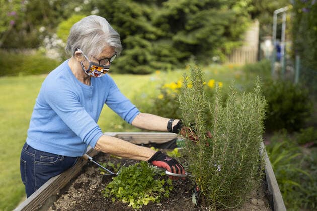 Topic Older woman with mask at the raised bed Radevormwald Germany Copyright: xUtexGrabowsky photothek.netx
