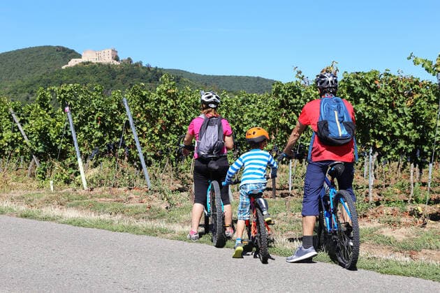Bicycle trip with the family in the vineyards of the Palatinate between Neustadt an der Weinstraße and Maikammer In the background you can see the Palatinate Forest and the Hambach Castle Model released