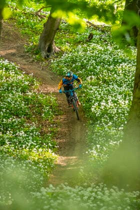 Mountain bike Young mountain biker in the forest, Deister, Germany, 06 05 2020 Sports Sports Nature
