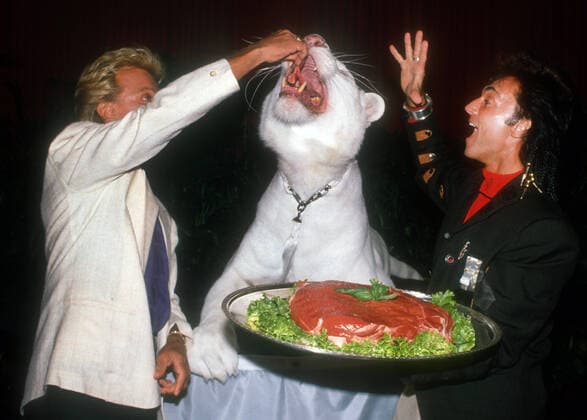 ***FIEL PHOTO*** Roy Horn of Siegfried & Roy Dies of Complications from COVID-19. Siegfried & Roy, 1987, Photo By John Barrett PHOTOlink MediaPunch Copyright: xPHOTOlinkx MediaPunchx