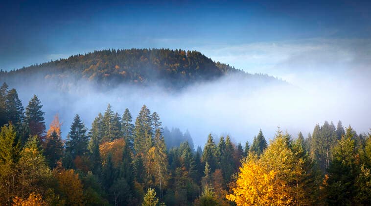 neblige Landschaft in Bayern, Deutschland, Bayern landscape with fog in bavaria germany, Germany, Bavaria BLWS615855 Copyright: xblickwinkel McPHOTO M.xGannx