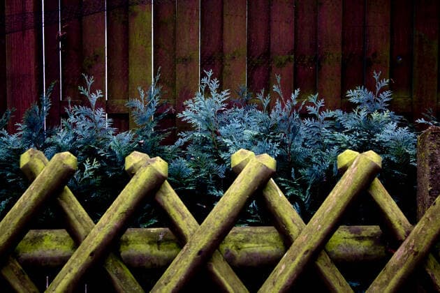 zaun,hecke,jägerzaun *** fence,hedge,rail fence frc-i7b