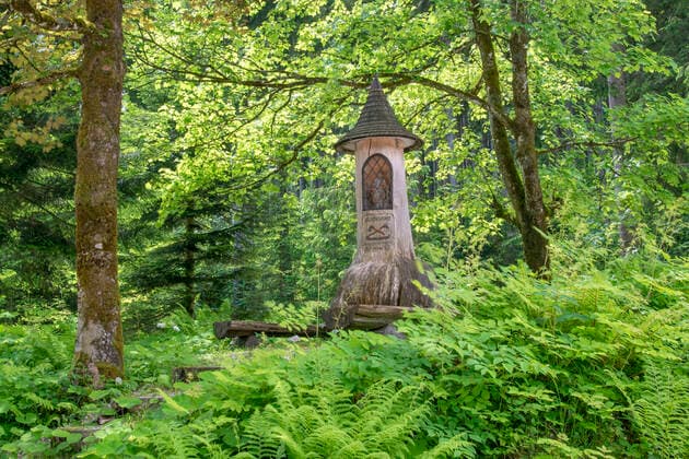 forest,bildstockstraße ftv-lgt