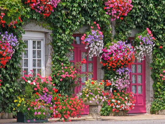 flower arrangement,flower arrangements,facade greening g1e-fpl