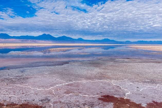 Laguna de Chaxa, Salar de Atacama, salt lake, Atacama Desert, San Pedro de Atacama, Antofagasta, Chile, South America Copyright: imageBROKER/WolfgangxDiederich ibldie05512879.jpg
