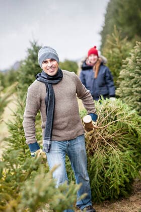 mann,weihnachten,weihnachtsbaum *** man,christmas,christmas tree jqv-hh8,model released, Symbolfoto