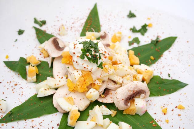 vorspeise,eiersalat *** appetizer,egg salad k55-q8
