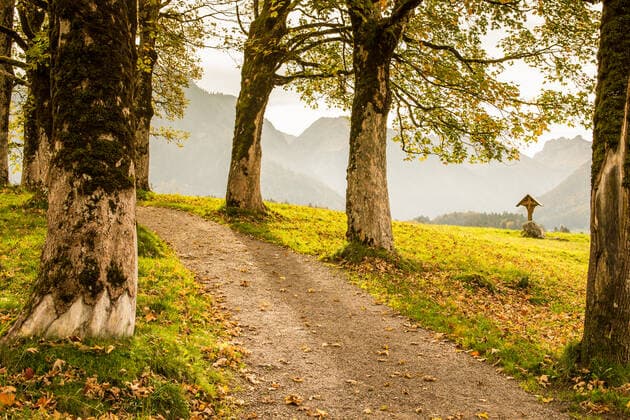 autumn,deciduous forest,hermannsruh kya-hmo