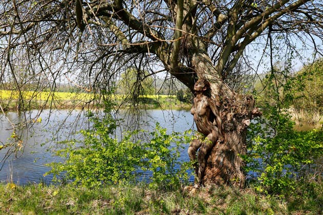 Nature Art Bodypainting with Model Lisa as part of a tree at a Fischeich Springe, 18 05 2020 Bodypainting artist Jörg Düsterwald Foto:xT.xSkupinx xFuturexImage