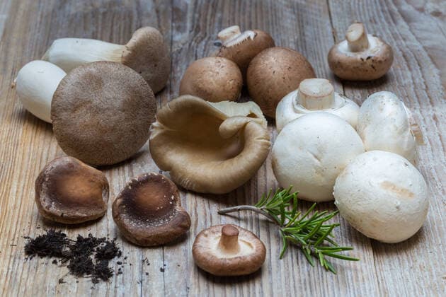 champignons,shiitake,austernpilz,speisepilze,seitling *** mushrooms,shiitake,oyster mushroom,mushrooms,pleurotus sj8-hwo