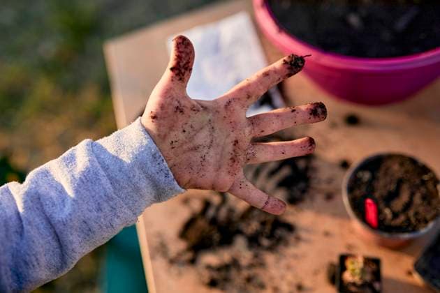 Close-up of boy showing his dirty hand from gardening model released Symbolfoto ZEDF03335