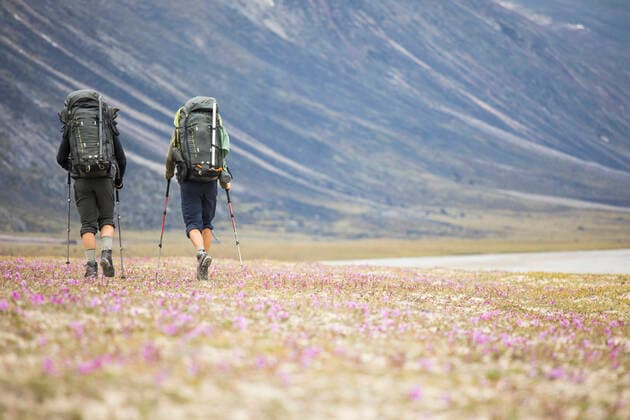 Rear view of two backpackers hiking through wildflower meadow. Pangnirtung, NU, Canada CR_JDIP200331-320822-01,model released, Symbolfoto