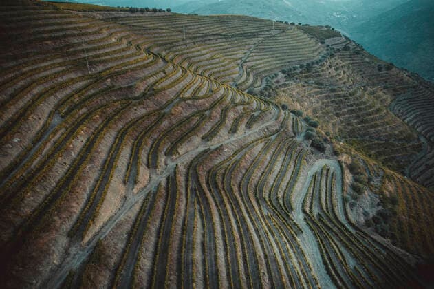 Douro Vineyards from aerial view Portugal, Viseu, Ervedosa do Douro CR_NEAN200518-367745-01