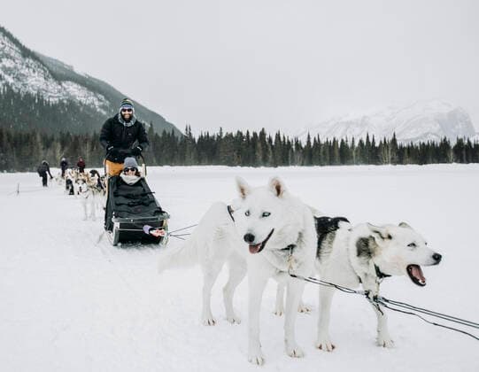 couple sits in dogsled led by dogs on frozen lake in winter Banff, AB, Canada CR_SSNF200422A-341535-01,model released, Symbolfoto