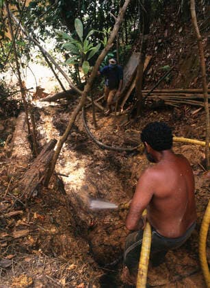 Goldminer Hosing for Gold Venezuela Goldminer Hosing for Gold  Copyright: xDavidxWoodfallx ZB799_001_01373