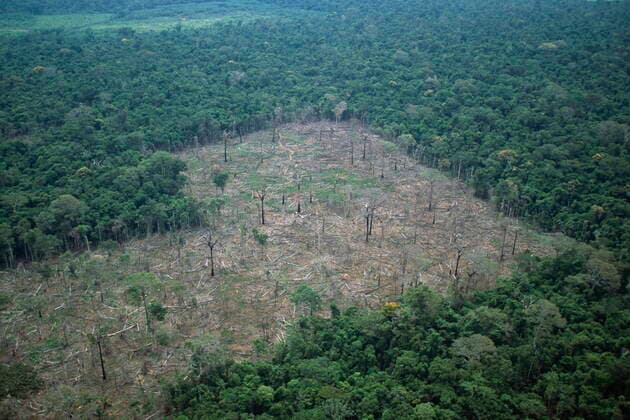 IMAGO Nature: Unsere Erde, Umweltverträgliche Herausforderungen, Regenwald RAINFOREST DESTRUCTION. Aerial view of area burned & cleared for farming. Mato Grosso. southern Brazil; South America RAINFOREST DESTROYED  Copyright: xMartinxWendlerx ZB1094_MWE001303A