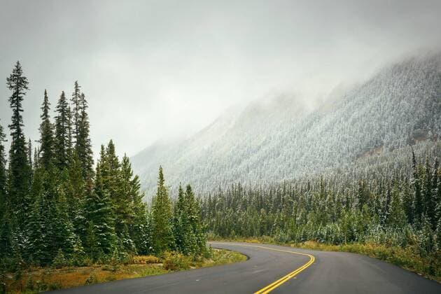 Outdoors Forest Glacier Journey Winter canada Mist Yoho Travel Alberta  268125032976613441