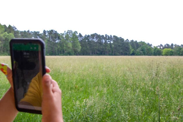Geocacher Kind mit Handy App, GPS Koordinaten für Geocaching outdoor Geocaching in der Natur *** Geocacher child with mobile phone app, GPS coordinates for geocaching outdoor Geocaching in nature