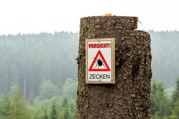 Warnhinweis auf Zecken, im Arnsberger Wald, bei Hirschberg, Sauerland, NRW, Deutschland, Zeckengefahr *** Warning sign for ticks, in the Arnsberg Forest, near Hirschberg, Sauerland, NRW, Germany, danger of ticks