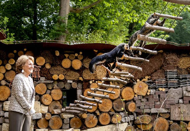 Bilder des Jahres 2020, Entertainment 06 Juni Entertainment Themen der Woche KW25 Entertainment Bilder des Tages 17-06-2020 Apeldoorn Princess Margriet during the opening of a food forest for pygmy monkeys in Apenheul Zoo in Apeldoorn. The food forest is a new area in the park with several stray dwarf monkey species and a more than 100 meter long insect wall. This wall, together with wild flowers and fruit trees, is the primary food supply for the monkeys. Apenheul also stimulates local biodiversity.  Copyright: xx