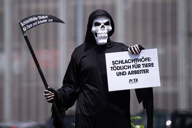 Bilder des Jahres 2020, News 06 Juni News Themen der Woche KW25 News Bilder des Tages 19.06.2020: Coronavirus - Demonstration von PETA nach Ausbruch bei Tönnies : Demonstranten der Tierschutzorganisation PETA nach dem Coronavirus Ausbruch bei Tönnies in Rheda-Wiedenbrück, bei dem über 700 Mitarbeiter des Fleischbetriebs positiv auf das Coronavirus getestet wurden, Im Kreis Gütersloh sind daher über 7000 Menschen in Quarantäne. Im Bild: Einer als den Tod verkörperter Demonstrant mit von PETA, der ein Schild gegen Schlachthöfe und Tierquälerei hochhält. Foto: Noah Wedel, Rheda-Wiedenbrück Nordrhein-Westfalen Deutschland *** 19 06 2020 Coronavirus demonstration of PETA after outbreak at Tönnies Demonstrators of the animal welfare organisation PETA after the coronavirus outbreak at Tönnies in Rheda Wiedenbrück, wh