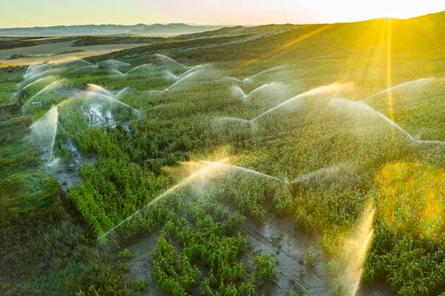 IMAGO Creative: Corporate: Klimaschutz, Digitalisierung und Urbanisierung IMAGO Creative: Klimawandel - Zukunft und Innovation Farmland with watering. Aerial view. Navarre, Spain, Europe. Navarre Spain Copyright: xMikelxBilbaox MBG-20-01-095