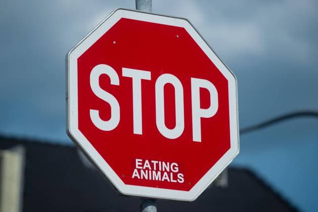 22.06.2020 - Coronavirus: Feature Kreis Gütersloh: Im Bild: Ein Stopp-Kennzeichen mit dem Aufkleber Eating Animals Foto: Noah Wedel, Gütersloh Nordrhein-Westfalen Deutschland *** 22 06 2020 Coronavirus Feature District Gütersloh In the picture A stop sign with the sticker Eating Animals Photo Noah Wedel, Gütersloh North Rhine-Westphalia Germany