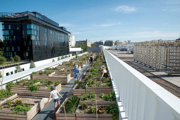IMAGO Creative: Corporate: Klimaschutz, Digitalisierung und Urbanisierung aris France 23 Juin 2020 Ouverture d une ferme urbaine geante. Le projet NU-Paris, pour Nature Urbaine,sur le toit du Hall 6 du Parc des Expositions. La plus grande ferme urbaine en toiture d’Europe dans le 15eme arrondissement est specialise dans le maraichage, des animations pedagogiques et des potagers a la location pour les particuliers sont egalement proposes.Opening of a giant urban farm. The NU-Paris project, for Nature Urbaine, on the roof of Hall 6 of the Parc des Expositions. The largest roofed urban farm in Europe in the 15th arrondissement specializes in market gardening, educational activities and vegetable gardens for rent for individuals are also available on June 23 2020 *** Local Caption ***  Copyright: xBrunoxLevesquex