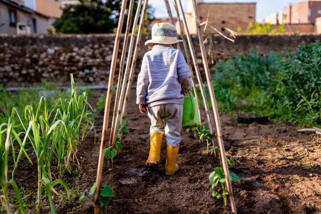 IMAGO Creative, Frühling, Start der Garten-Saison IMAGO Creative: Klimawandel - Umwelterziehung Full length rear view of girl holding watering can while walking under trellis at orchard model released Symbolfoto GEMF03669