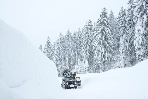 Austria, Salzburger Land, Lammertal, Man attaching Christmas tree to car roof on snowy road model released Symbolfoto HHF05579